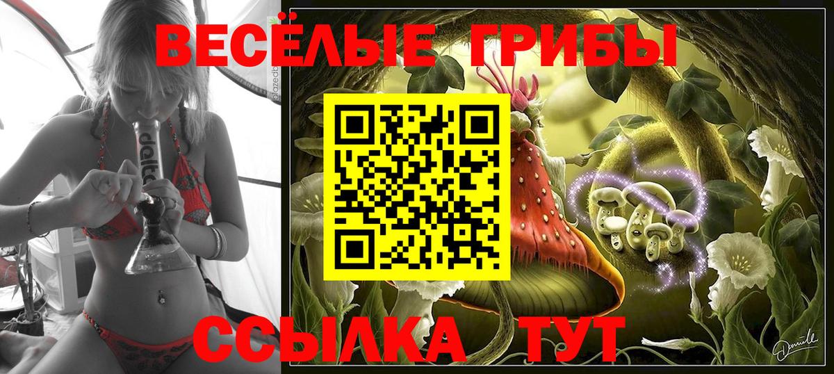 Рыбинск  Галлюциногенные грибы прущие грибы  Псилоцибиновые грибы MAGIC MUSHROOMS  Вход с VPN 